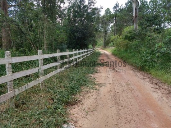 fazenda-venda-barbacena-mg-419660