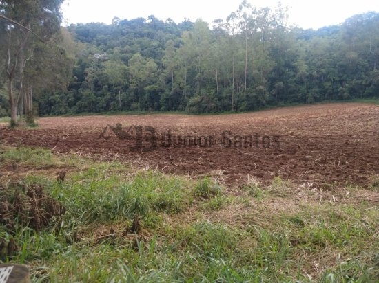 fazenda-venda-barbacena-mg-419661