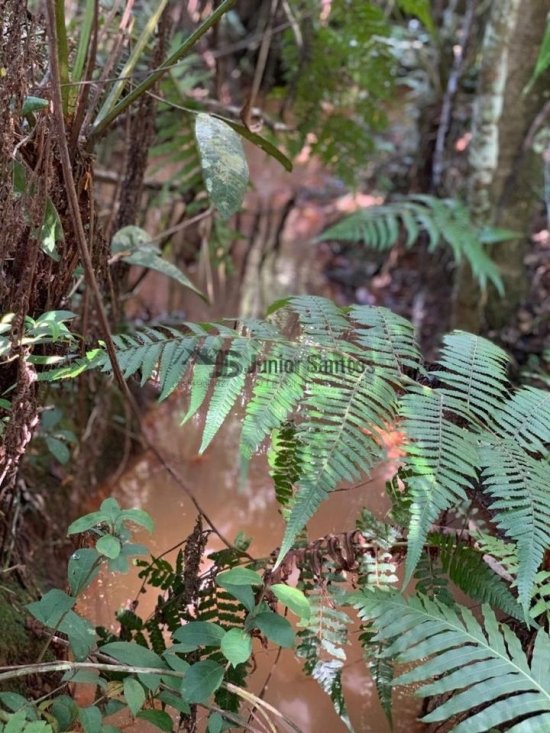 chacara-venda-itatiaiucu-mg-408815