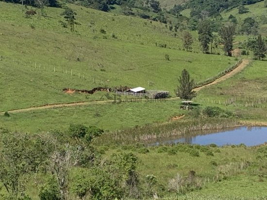 fazenda-venda-cipotanea-538383