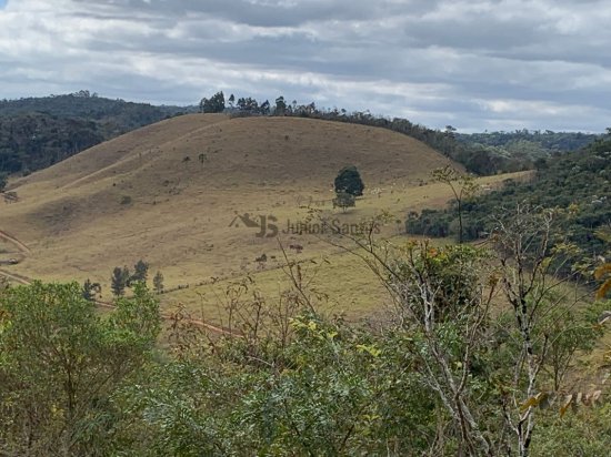 fazenda-venda-cipotanea-538385