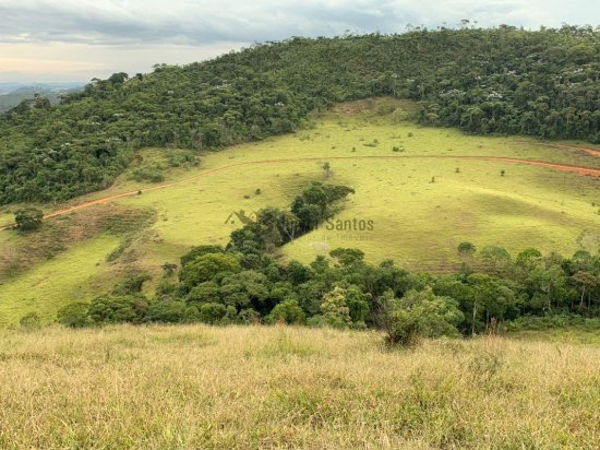 fazenda-venda-cipotanea-538388