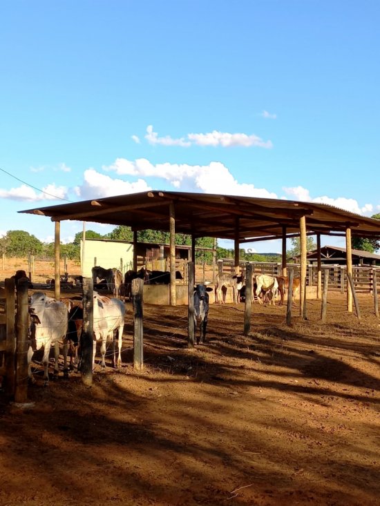 fazenda-venda-curvelo-mg-413894