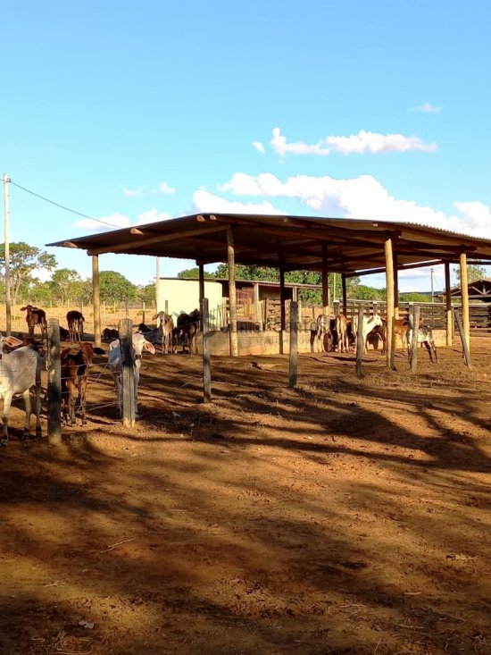 fazenda-venda-curvelo-mg-413886