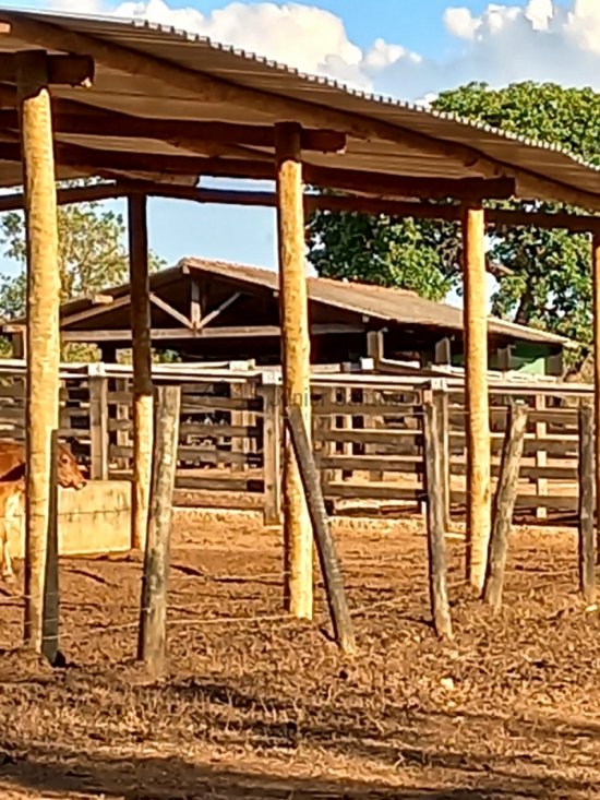 fazenda-venda-curvelo-mg-413893